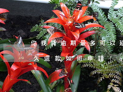你我貸逾期最多可以延長(zhǎng)多久還款，如何申請(qǐng)延期還款？你我貸逾期最長(zhǎng)可延長(zhǎng)多久？